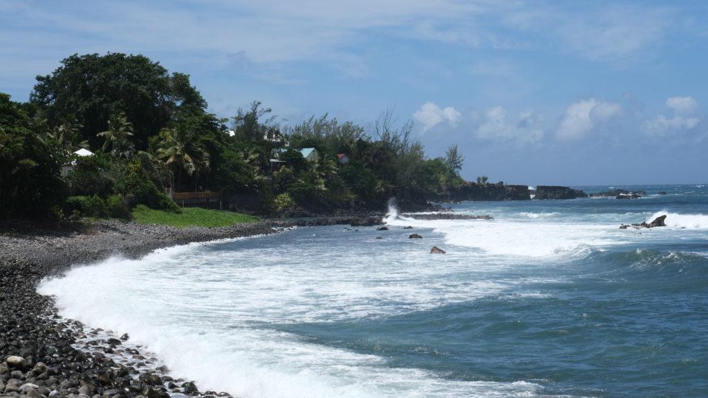 La baie de Manapany abrite nombre d'espèces endémiques protégées. (photos PhN)