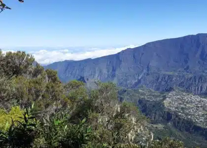 Randonnée forêt hauts Makes Cilaos ilet a cordes