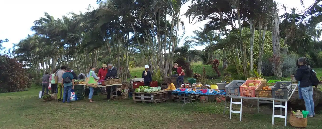 Marché de l'AREC Petite Ile