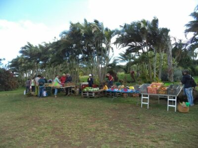 Marché de l'AREC Petite Ile