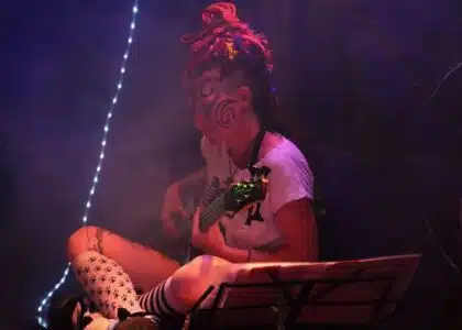 Lady la Fée