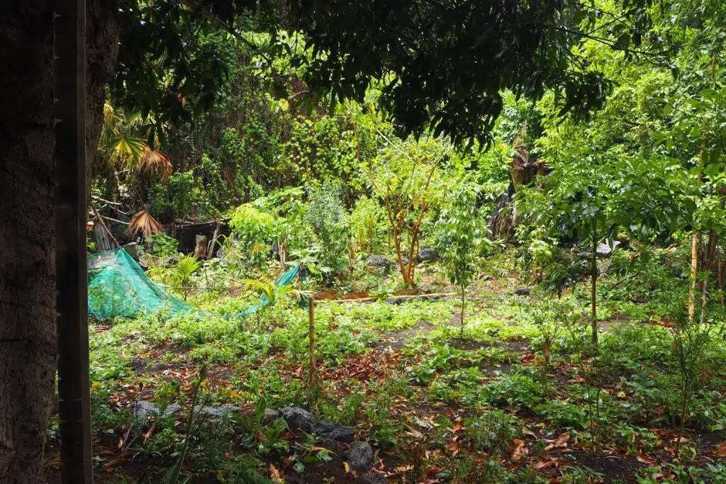 Le Jardin d'Abord en janvier 2021, fréquenté par des militants ou des proches du rond-point des Zazalé.