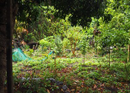 Le Jardin d'Abord en janvier 2021, fréquenté par des militants ou des proches du rond-point des Zazalé.