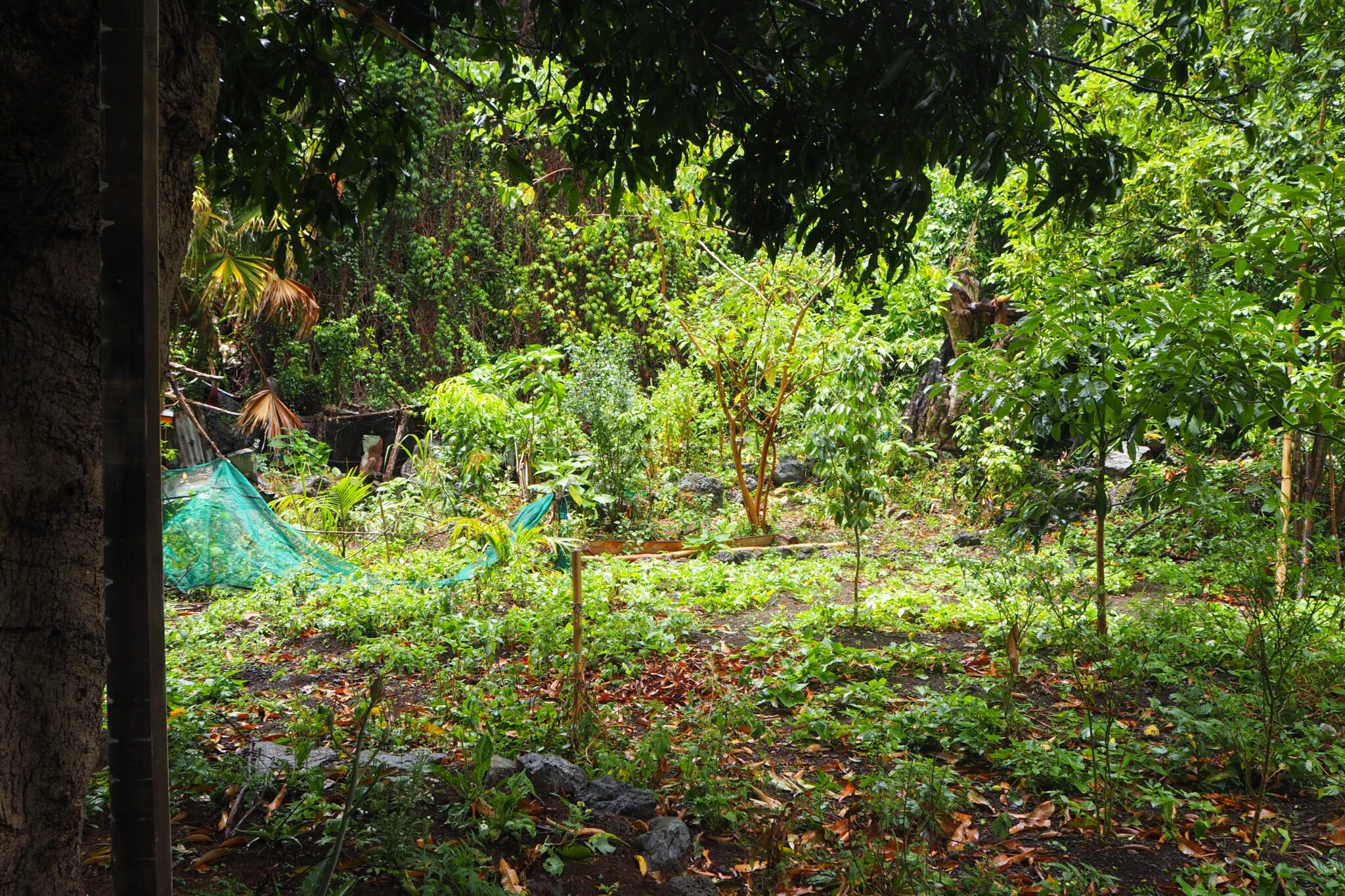 Le Jardin d'Abord en janvier 2021, fréquenté par des militants ou des proches du rond-point des Zazalé.
