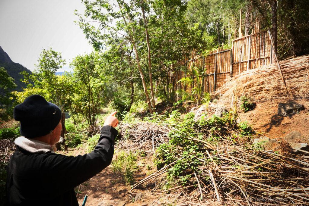 L'ONF a demandé à Alain Hoareau de retirer la nouvelle clôture trop haute qu'il a construite pour se protéger. (Photo Ysabelle Gomez)