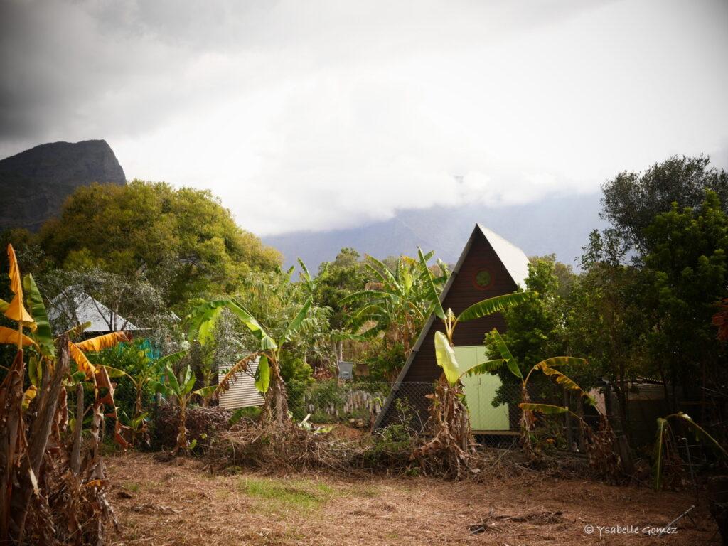 L'homme qui était venu aider M. Hoareau dispose désormais d'une concession en plein milieu de son terrain. (Photo Ysabelle Gomez)