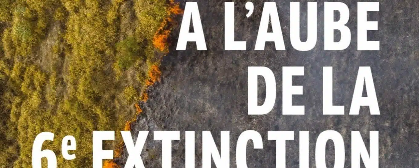 A l'aube de la 6ème extinction