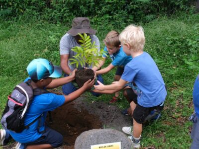 plantation enfants bois de Judas Fête de la Forêt grotte du peuplement Saint-Paul