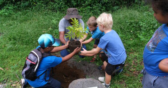 plantation enfants bois de Judas Fête de la Forêt grotte du peuplement Saint-Paul