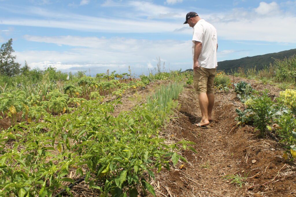 Ferme forêt des Makes, le 14 février 2023.