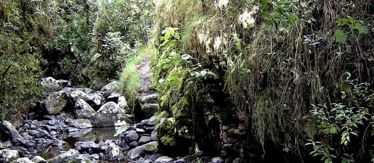 « Le caractère naturel de Mafate… » Ravine le Jar – Bas du Chemin charrette à La Nouvelle