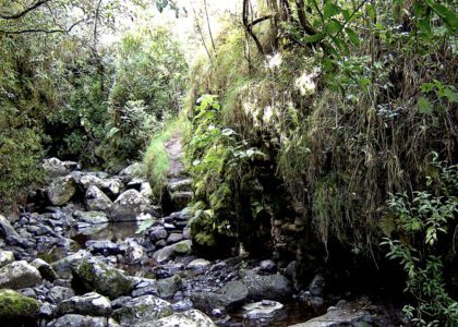 « Le caractère naturel de Mafate… » Ravine le Jar – Bas du Chemin charrette à La Nouvelle