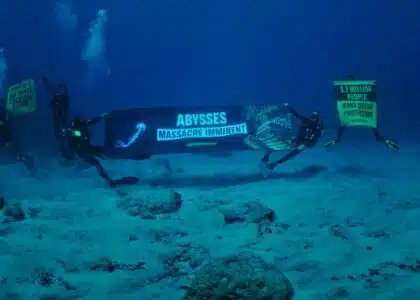 Greenpeace photo sous marine nodules exploitation minière fond océan