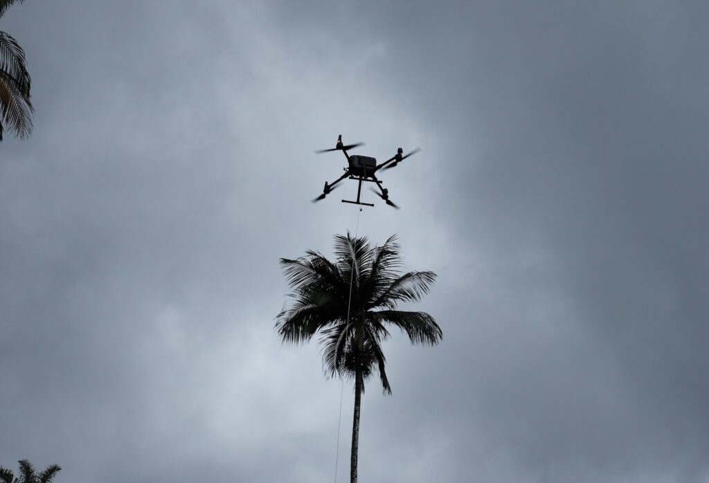 Conservatoire Botanique National Mascarin saint-leu utilisation drone Mamba cueillette et prélèvements