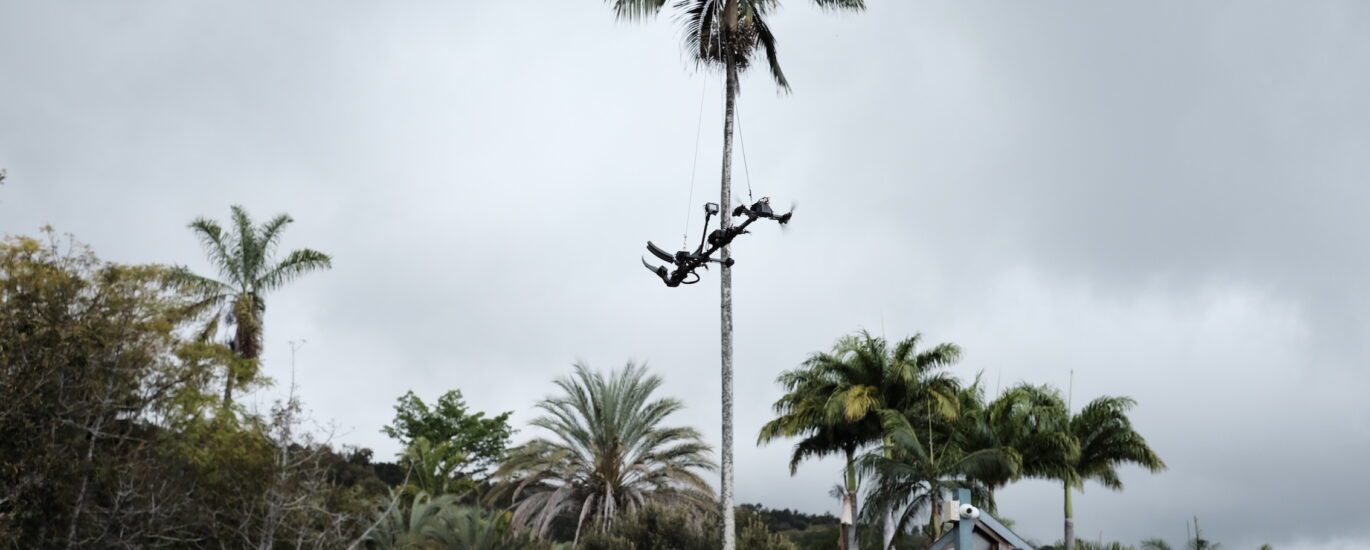 Conservatoire Botanique National Mascarin saint-leu utilisation drone Mamba cueillette et prélèvements