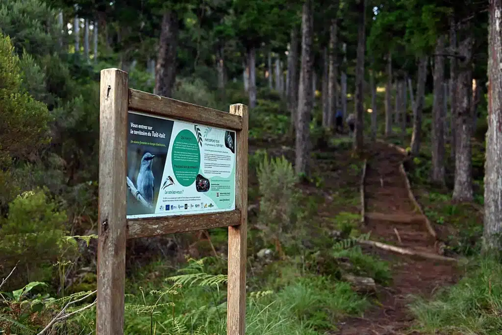 Observation tuit-tuit Roché écrite biodiversité Séor