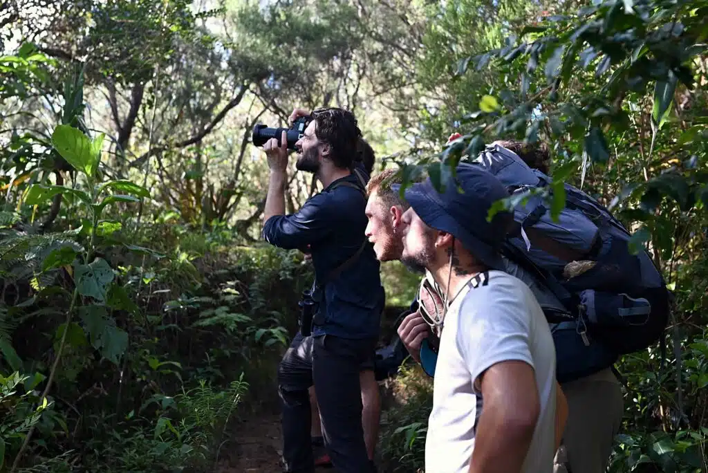 Observation tuit-tuit Roché écrite biodiversité Séor