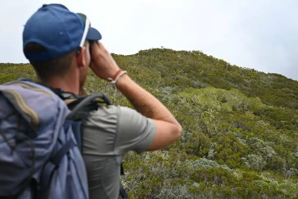 Observation tuit-tuit Roché écrite biodiversité Séor
