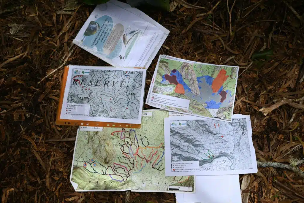 Observation tuit-tuit Roché écrite biodiversité Séor