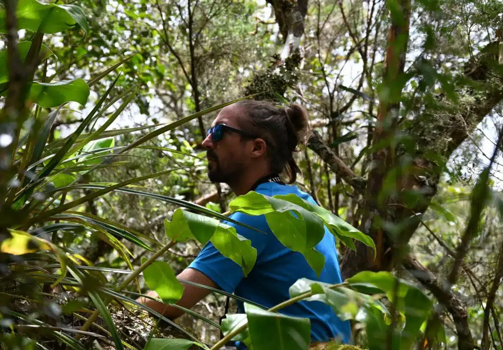 Observation tuit-tuit Roché écrite biodiversité Séor