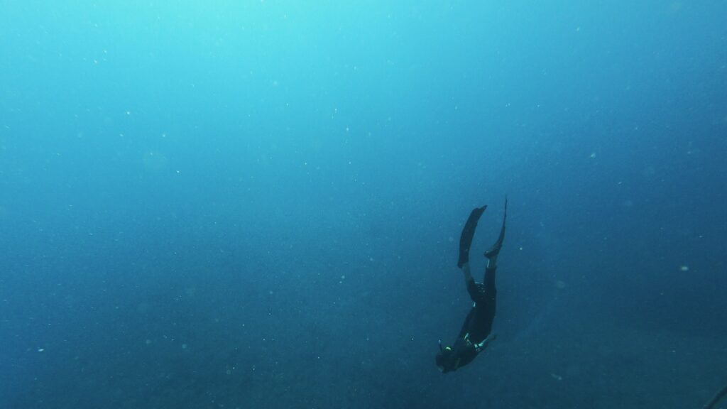 apnée corail