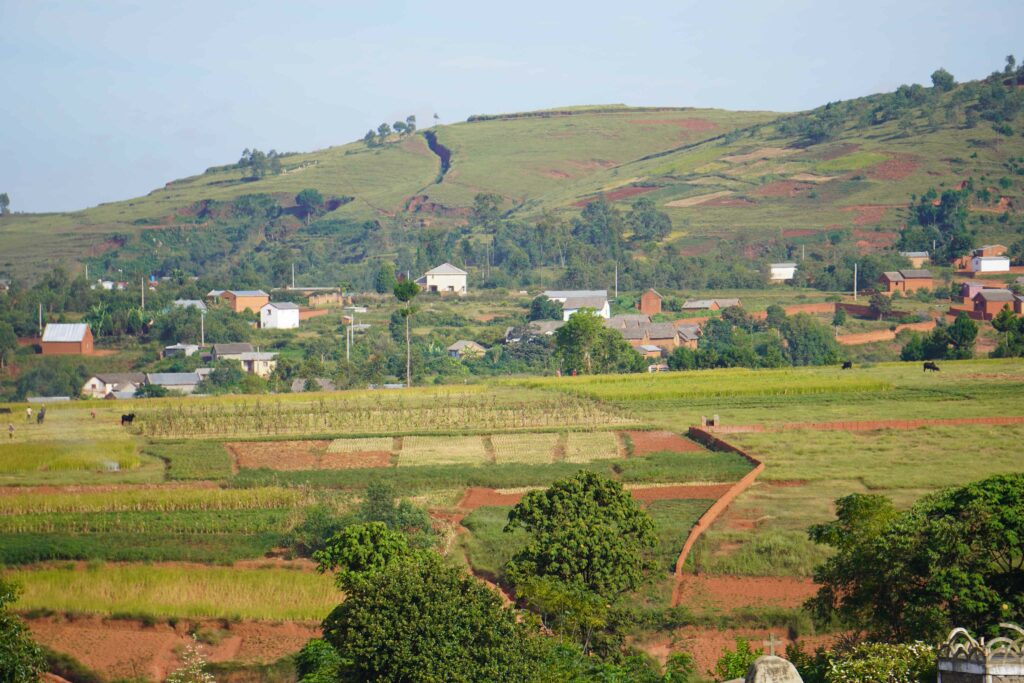 Madagascar biodiversité hauts plateau