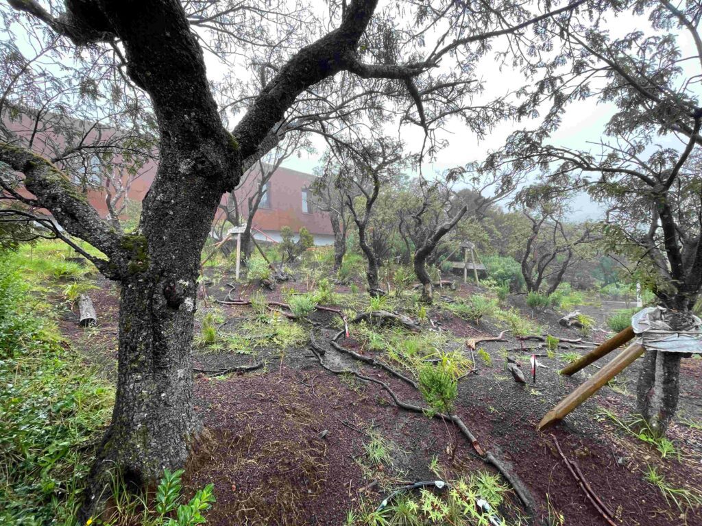 Chantier de l'éco-gîte du volcan