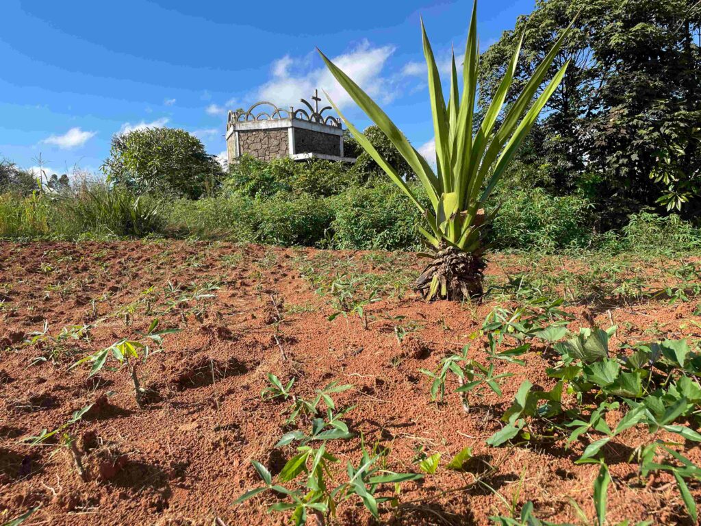 Madagascar biodiversité hauts plateau ird varuna agriculture