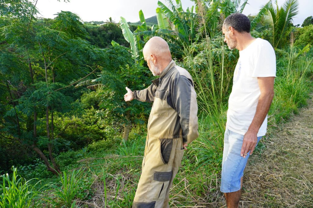 Kako et Stéphane Kenklé, artistes et agriculteurs