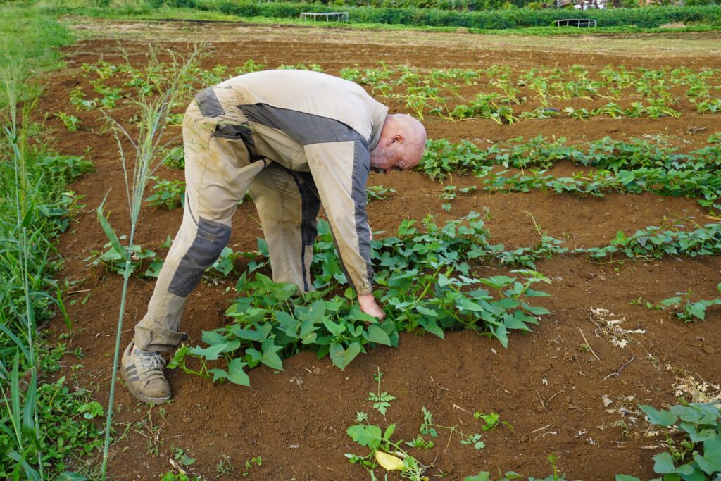 Kako et Stéphane Kenklé, artistes et agriculteurs