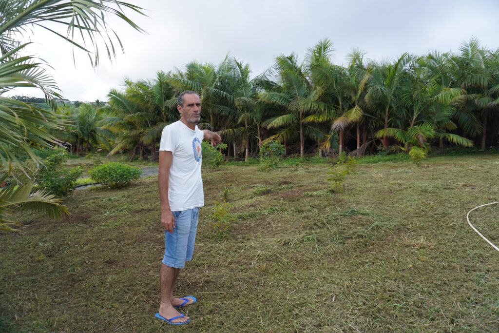 Kako et Stéphane Kenklé, artistes et agriculteurs