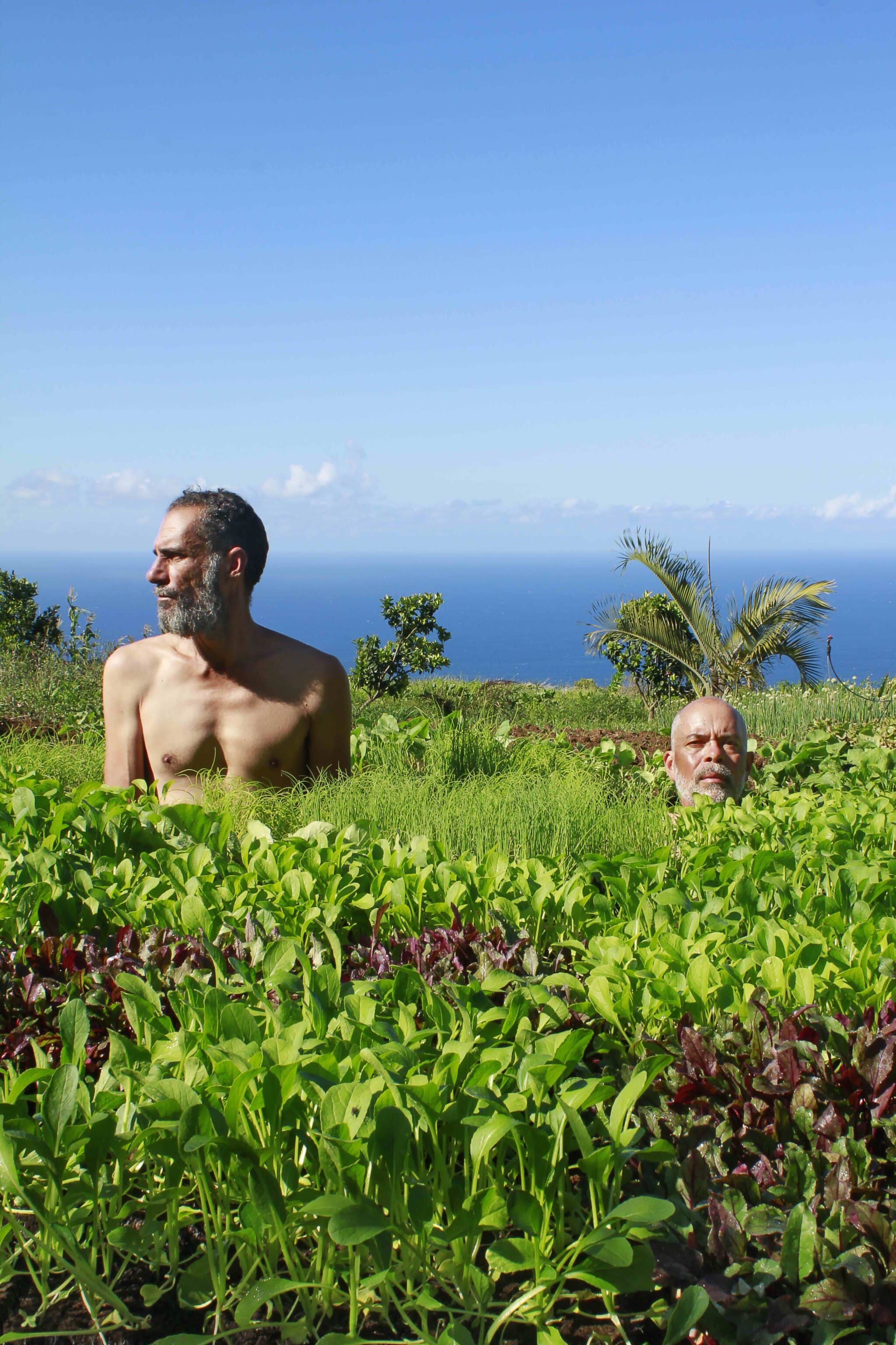 Kako et Stéphane Kenklé, artistes et agriculteurs