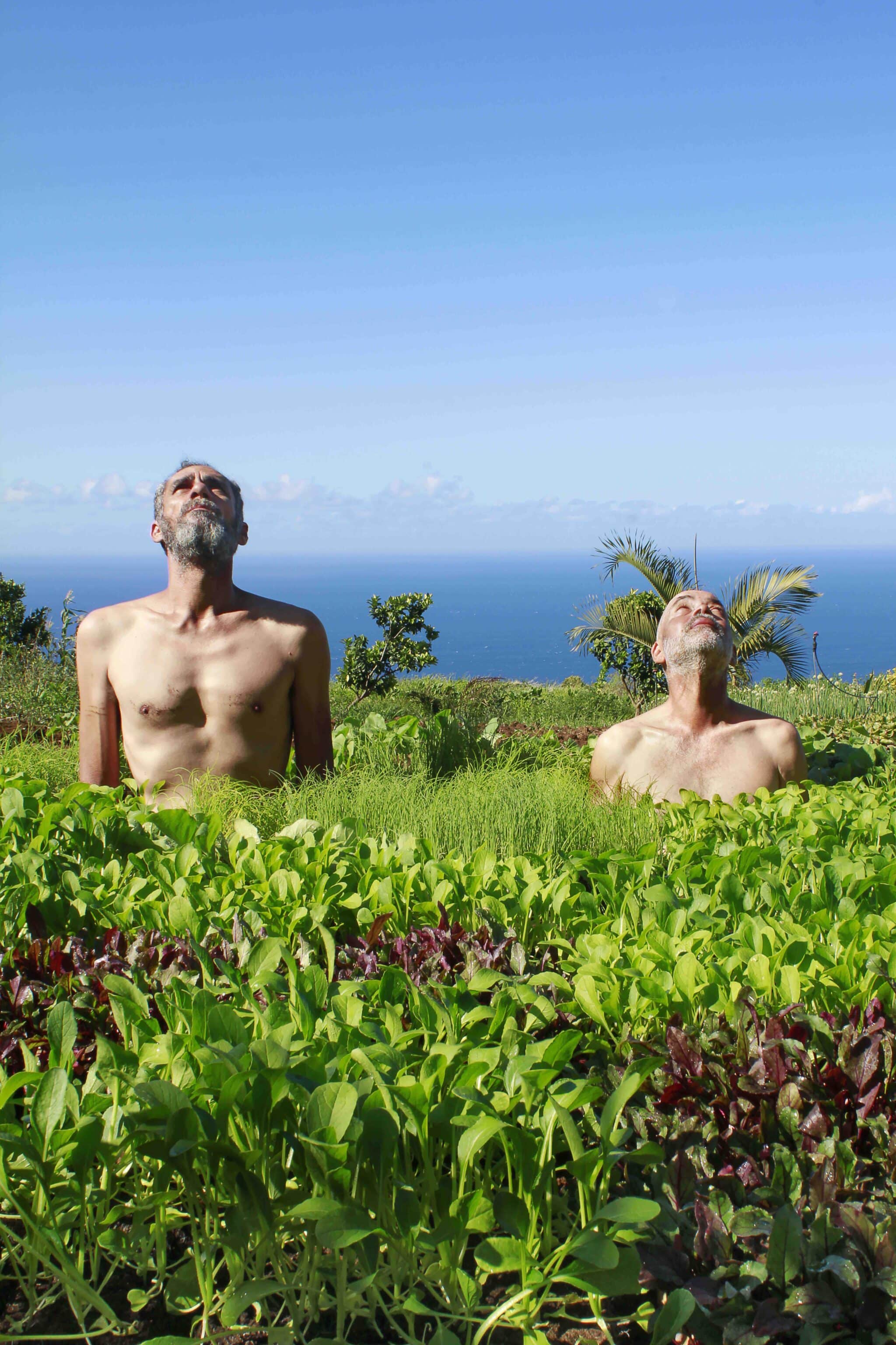 Kako et Stéphane Kenklé, artistes et agriculteurs