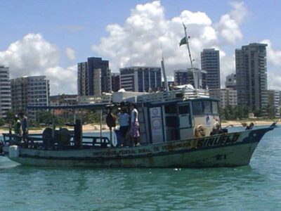 Bateau Sinuelo du Dr Afonso Recife Brésil requins translocation