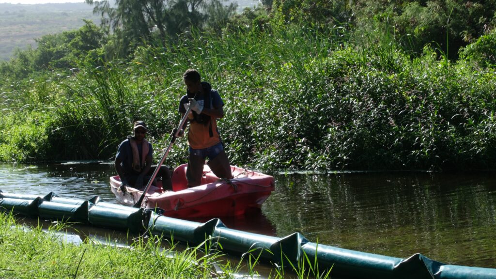 Gemapi lutte contre EEE espèces exotiques envahissantes salade d'eau ravine l'Ermitage TO