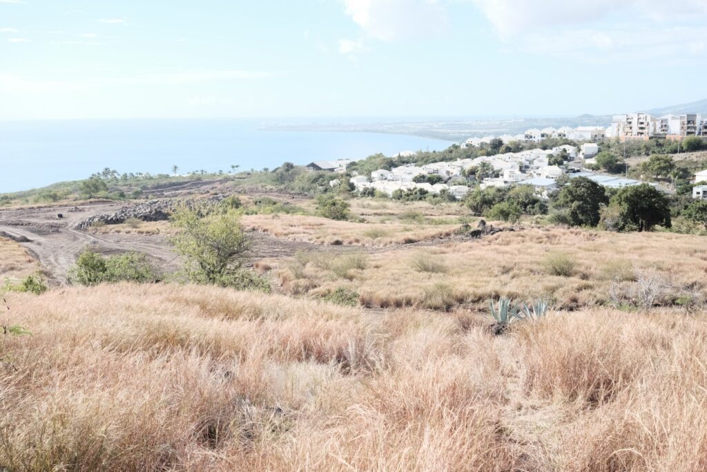 Elie Payet Protège nout savane Plateau-Caillou Saint-Paul