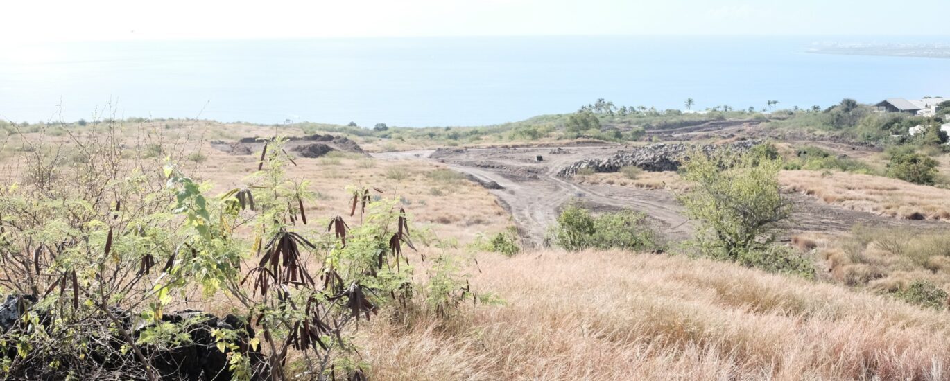 Elie Payet Protège nout savane Plateau-Caillou Saint-Paul