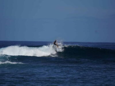 Surf mer océan vague gauche de Saint-Leu