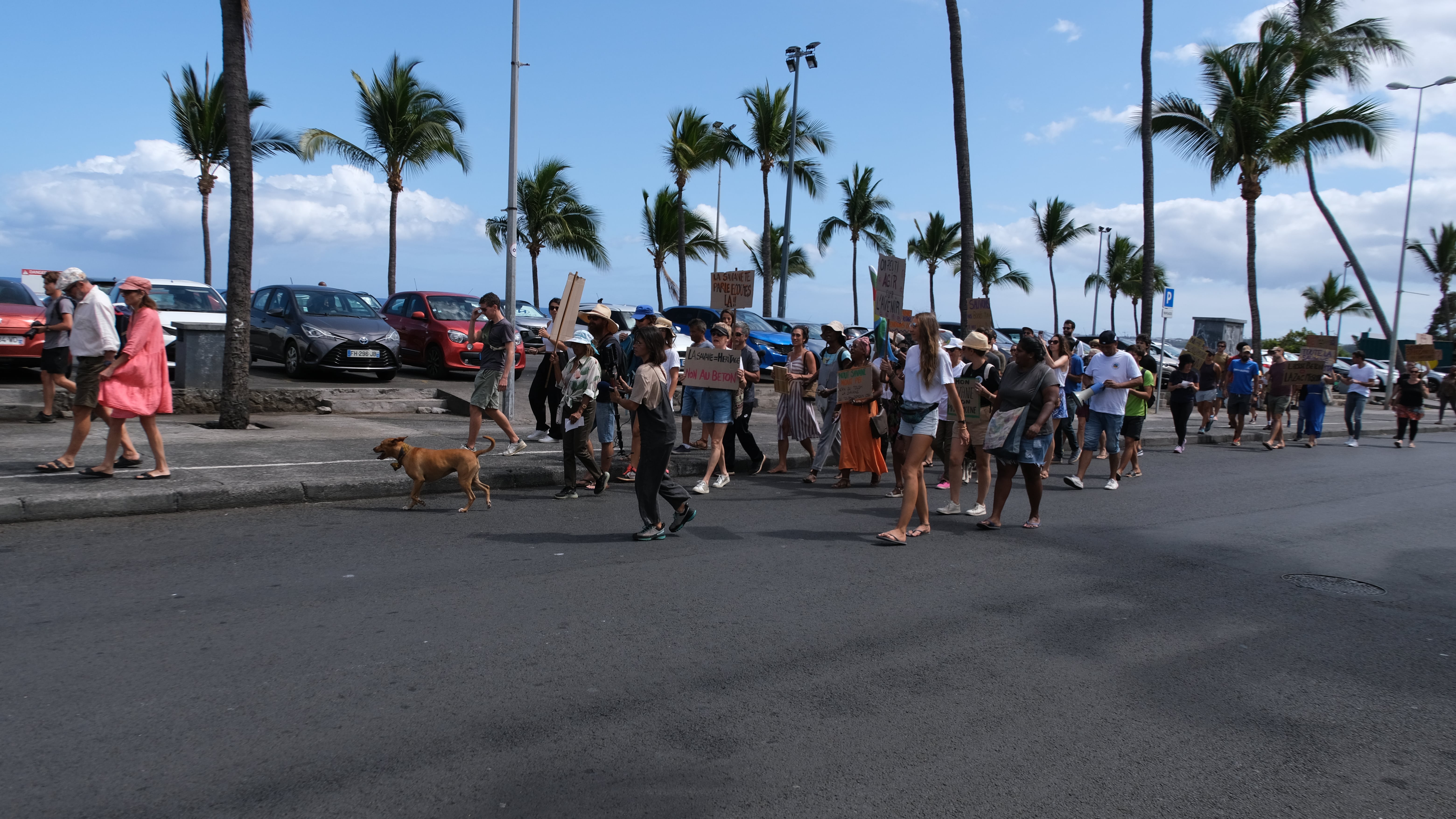 Manifestation Protège nout savane Saint-Paul