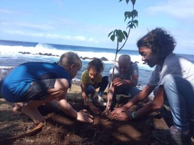 5000 piédbwa grand anse