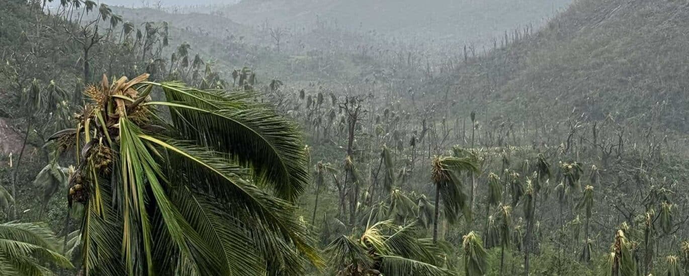 Cyclone Chido à Mayotte, dégâts de Tsingoni. Photo : Tom-Lou Cellier