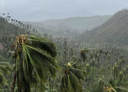 Cyclone Chido à Mayotte, dégâts de Tsingoni. Photo : Tom-Lou Cellier