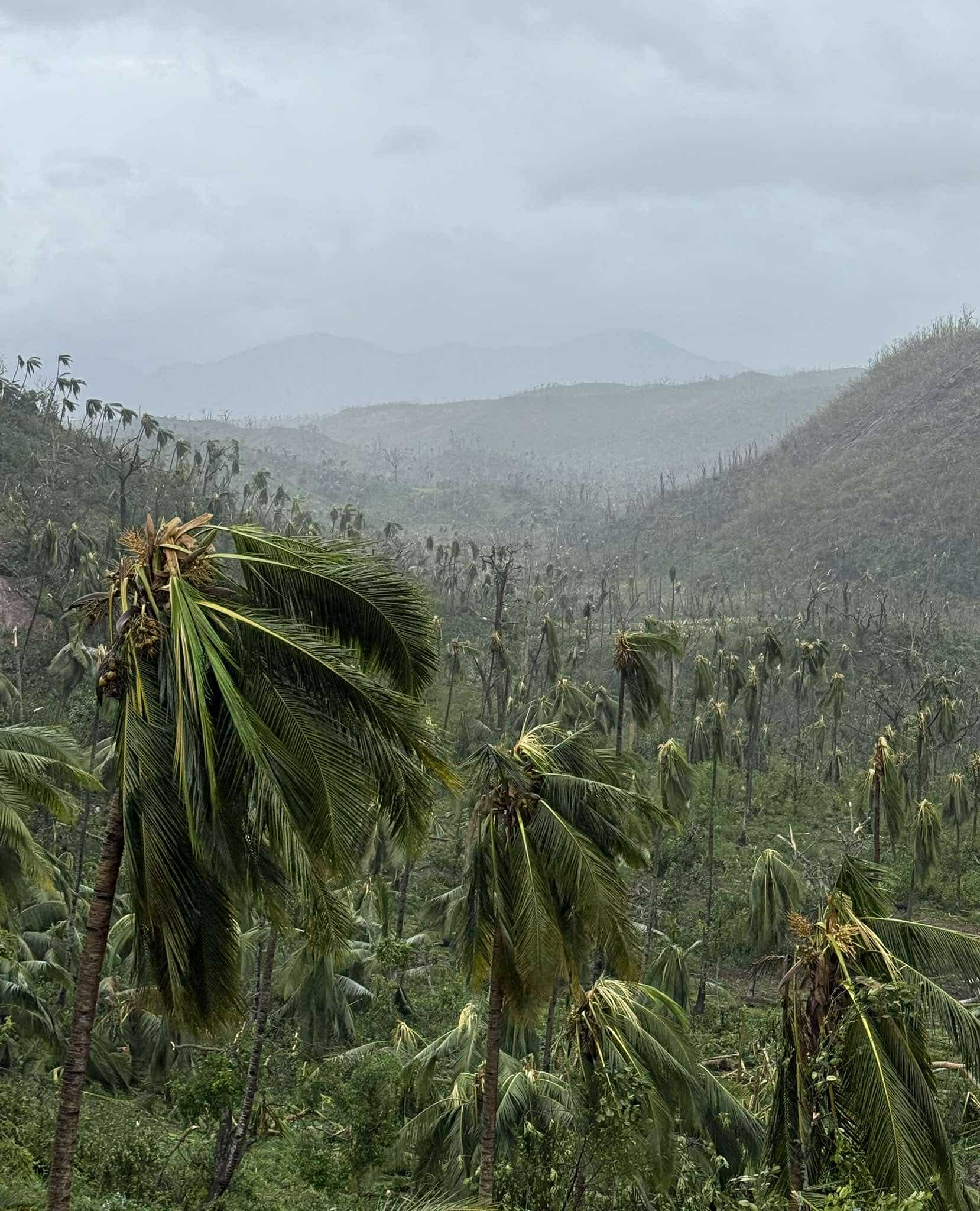 Cyclone Chido à Mayotte, dégâts de Tsingoni. Photo : Tom-Lou Cellier