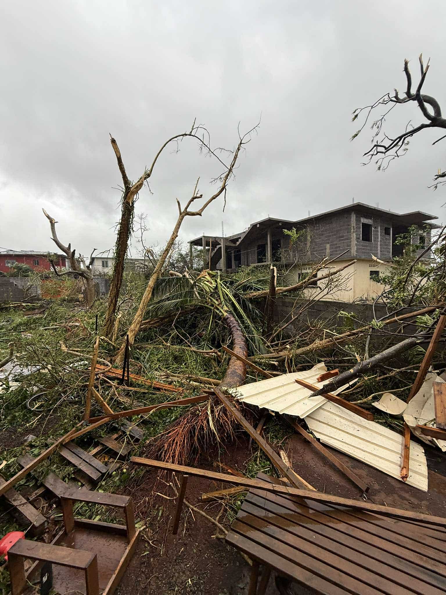 Cyclone Chido à Mayotte, dégâts de Tsingoni. Photo : Tom-Lou Cellier