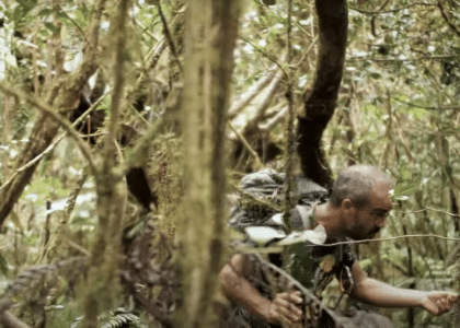 forêt de la petite plaine, forêt des alizés, plant'ali, plaine des palmistes