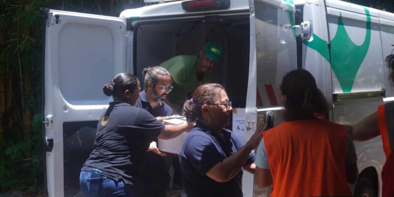 Dons humanitaires