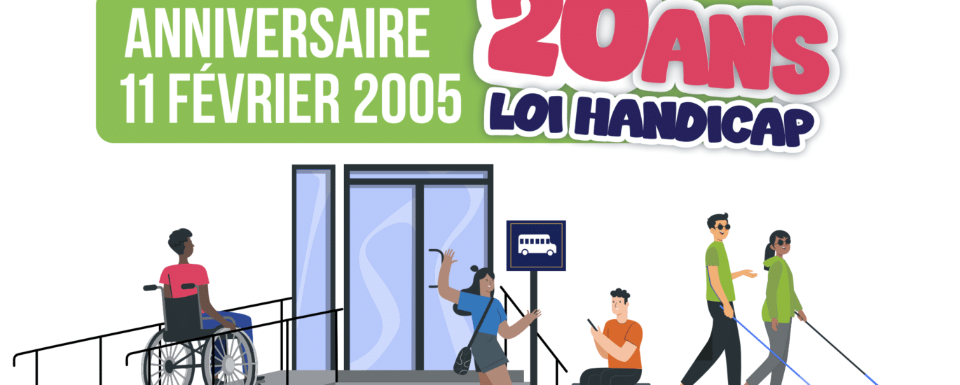 Affiche IRSAM Pétrel Loi Handicap 20 ans