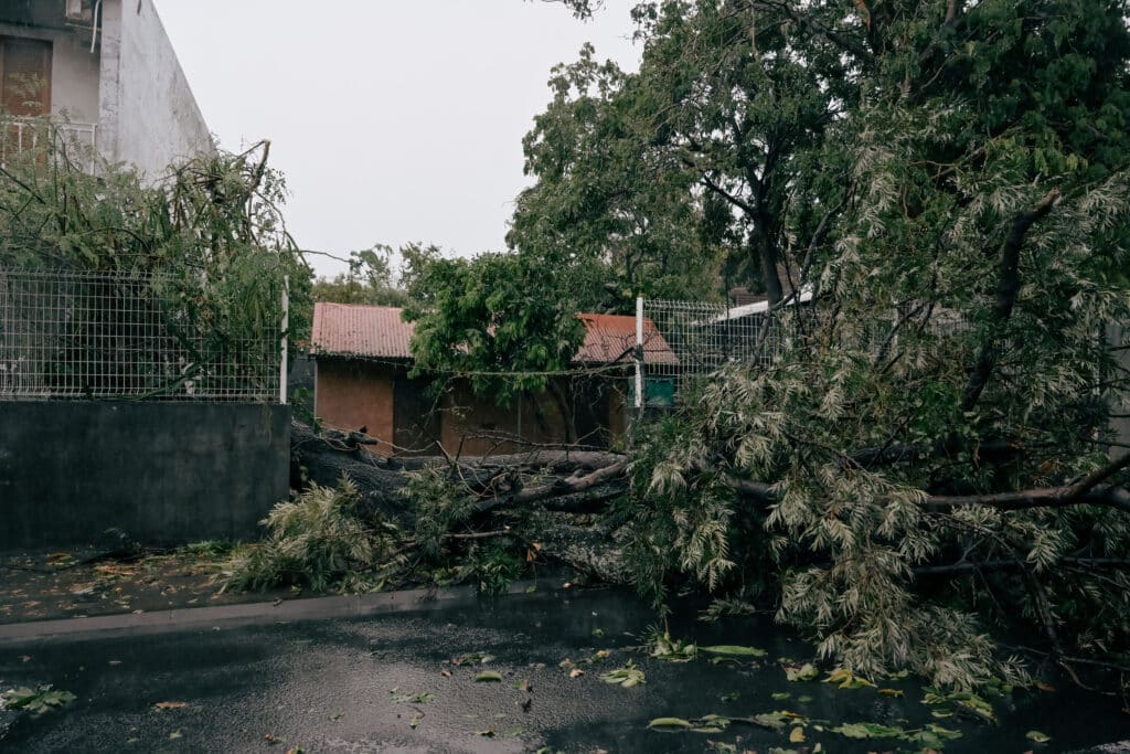 Un arbre s'est ecrasé sur une clôture durant le passage du cyclone Garance.