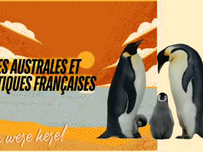 Terres australes et antarctiques françaises