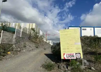 projet usine conditionnement Ciment Lion Vishor au Port